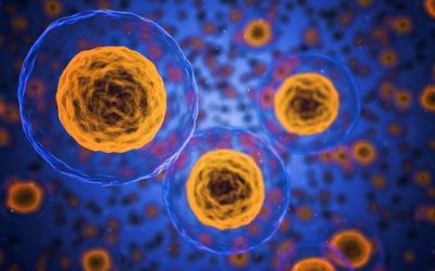 Oxidative Stress Symptoms and its Causes