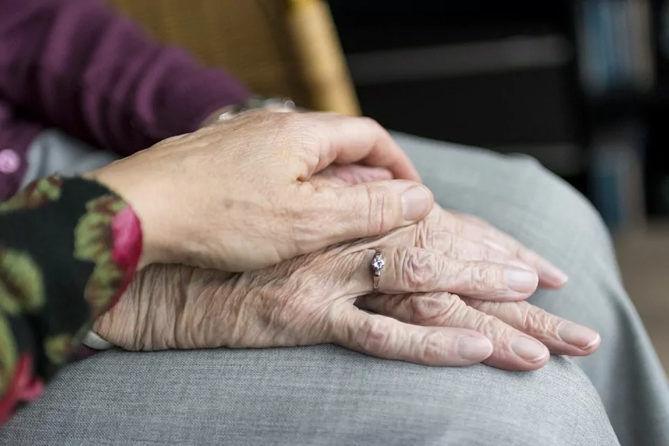 GENEWAY: Pay a DNA Testing Price for Priceless Insight