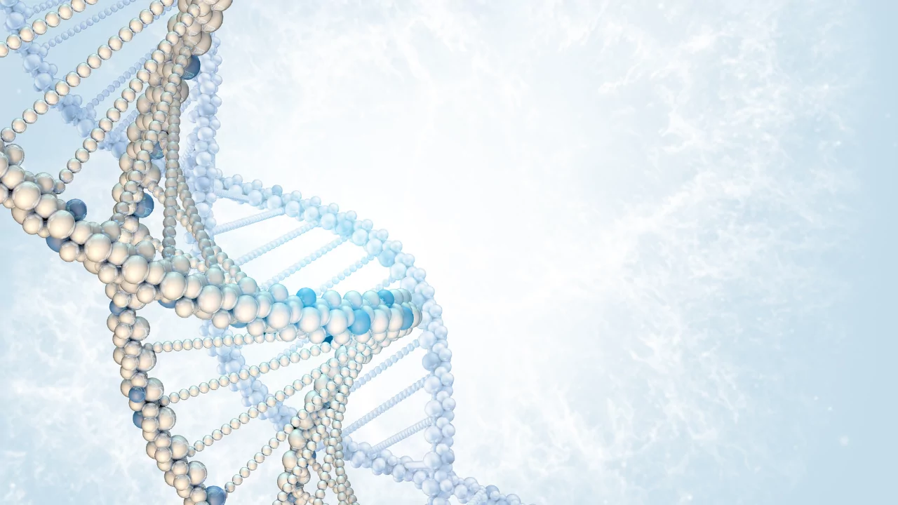 What a DNA Test Kit Can Offer You